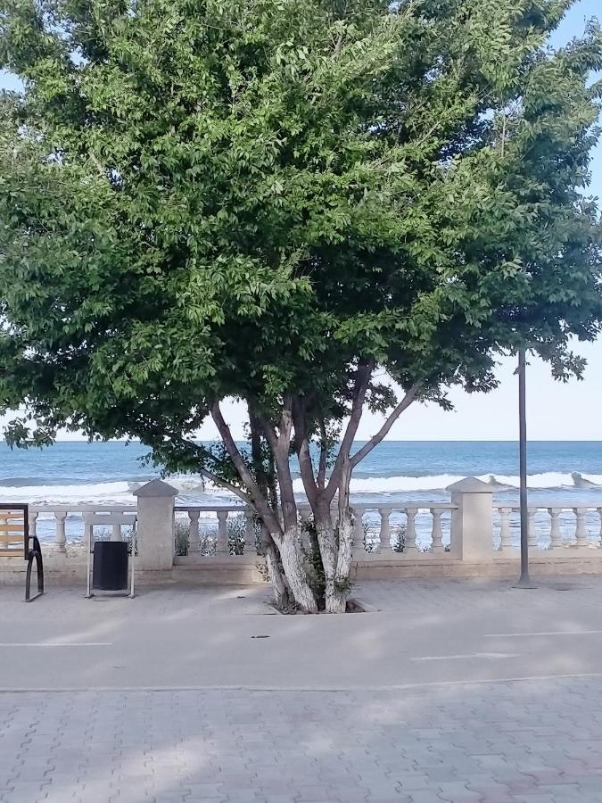אקטאו Seaside Apartment מראה חיצוני תמונה